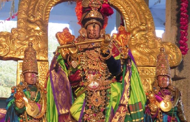 Kanchi Sri Devaperumal sannadhi  Dhavanotsavam day 3 Evening 2015 -03