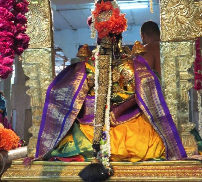 Kanchi Sri Devaperumal sannadhi  Dhavanotsavam day 3 Evening 2015 -04