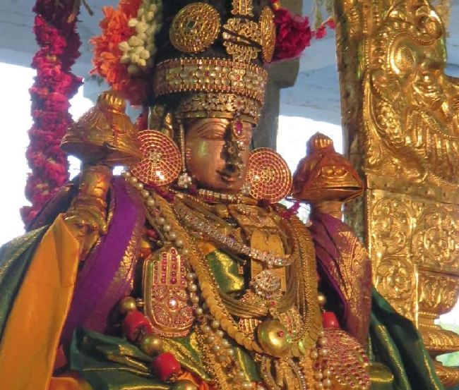 Kanchi Sri Devaperumal sannadhi  Dhavanotsavam day 3 Evening 2015 -11