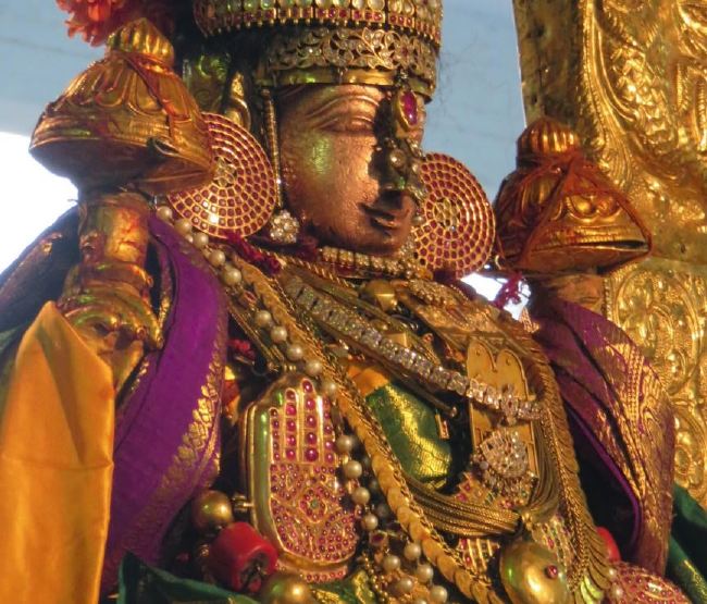 Kanchi Sri Devaperumal sannadhi  Dhavanotsavam day 3 Evening 2015 -13