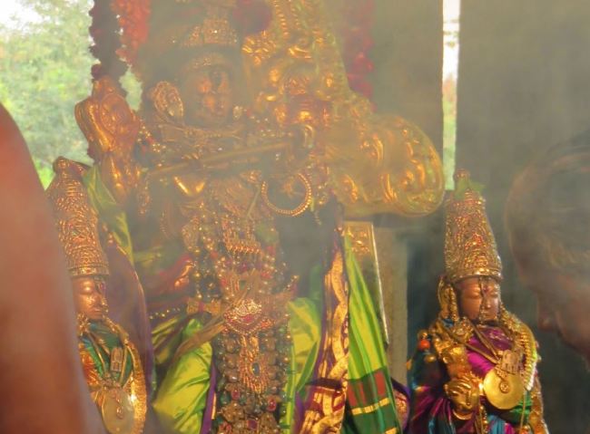 Kanchi Sri Devaperumal sannadhi  Dhavanotsavam day 3 Evening 2015 -18