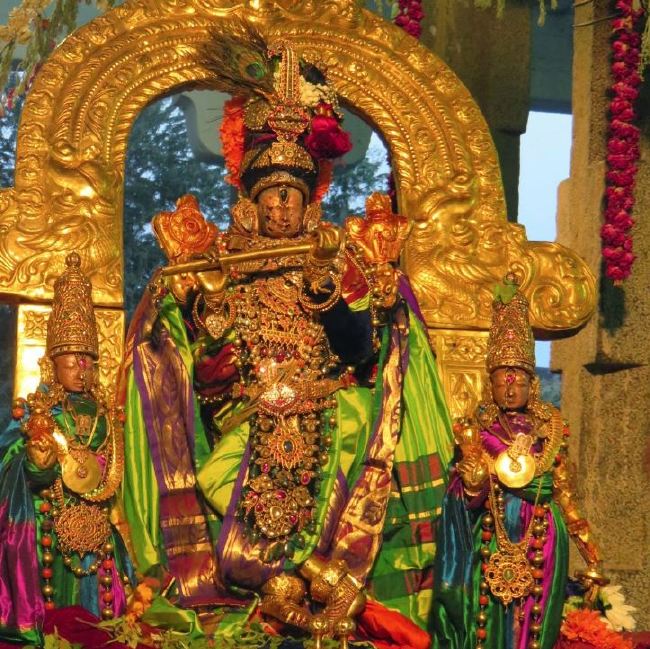 Kanchi Sri Devaperumal sannadhi  Dhavanotsavam day 3 Evening 2015 -22