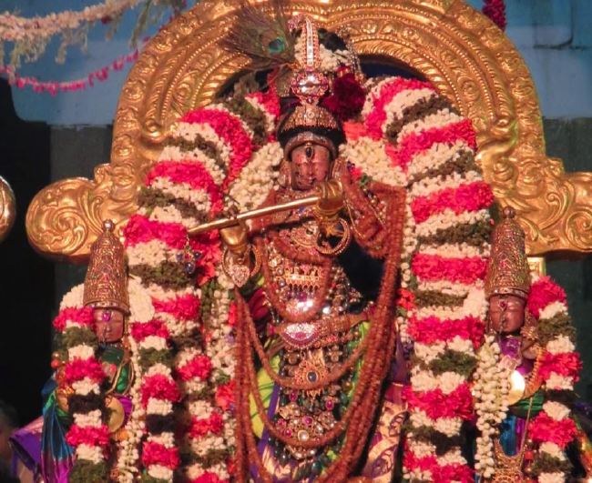 Kanchi Sri Devaperumal sannadhi  Dhavanotsavam day 3 Evening 2015 -24