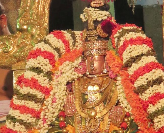 Kanchi Sri Devaperumal sannadhi  Dhavanotsavam day 3 Evening 2015 -25