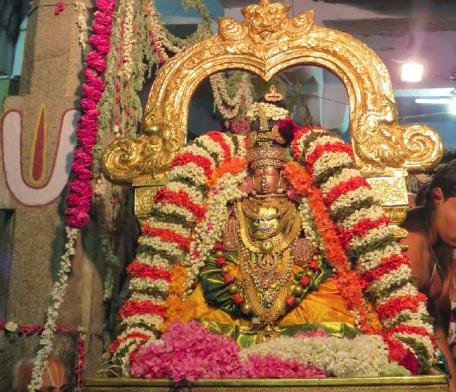Kanchi Sri Devaperumal sannadhi  Dhavanotsavam day 3 Evening 2015 -26