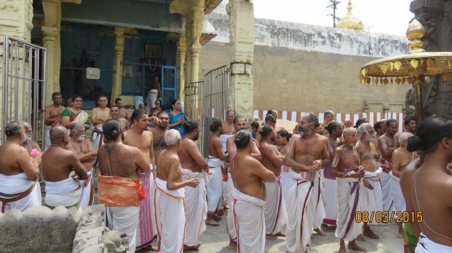Kanchi Sri Devaperumal sannadhi  Dhavanotsavam day 3 Morning 2015 -16
