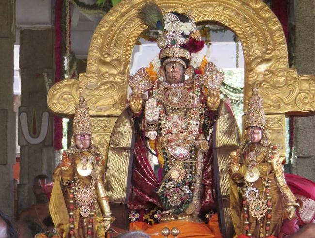 Kanchi Sri Devaperumal sannadhi  Dhavanotsavam day 3 Morning 2015 -52