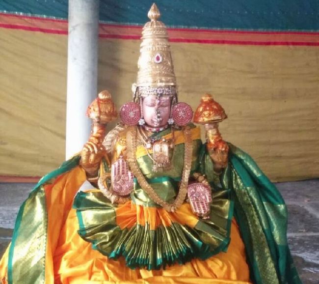 Kanchi Sri Devaperumal sannadhi  Dhavanotsavam day 3 asthanam 2015 -07