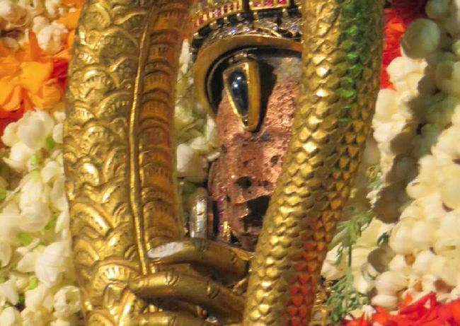 Kanchi Sri Devarajaswami Temple Dhavana Utsavam Day 2 2015 2015 -07