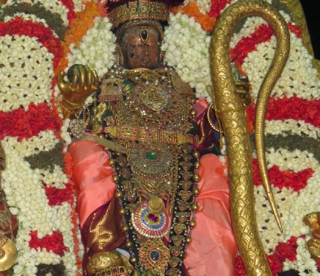 Kanchi Sri Devarajaswami Temple Dhavana Utsavam Day 2 2015 2015 -33