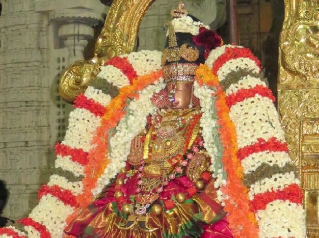 Kanchi Sri Devarajaswami Temple Dhavana Utsavam Day 2 2015 2015 -41