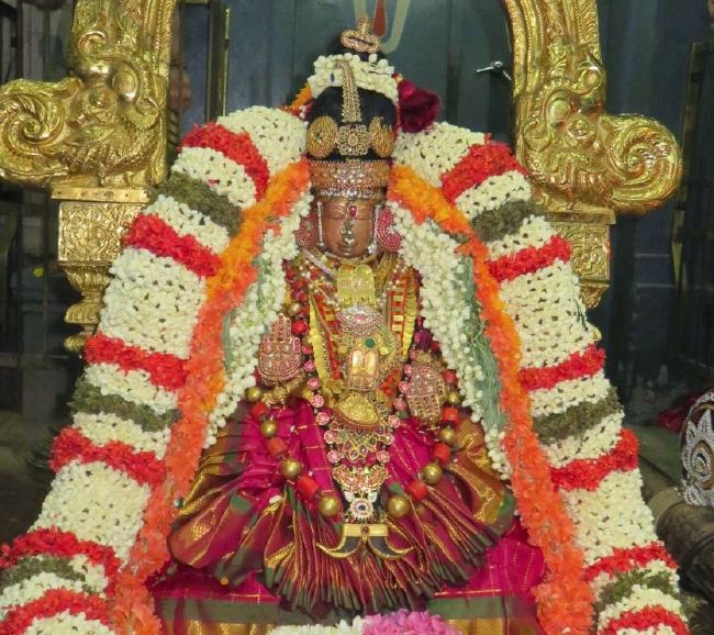Kanchi Sri Devarajaswami Temple Dhavanotsavam day 2 2015 2015 -02