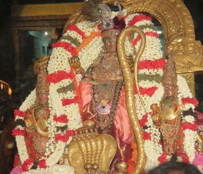 Kanchi Sri Devarajaswami Temple Dhavanotsavam day 2 2015 2015 -13