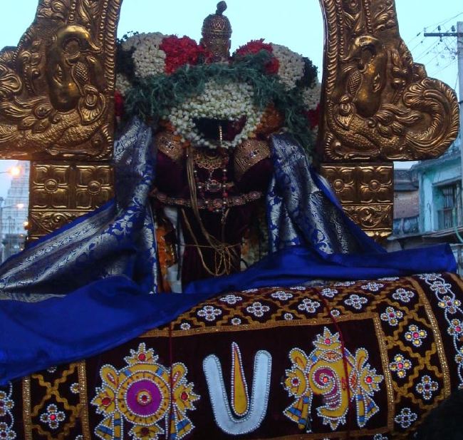 Kanchi Sri Devarajaswami Temple Kulasekara Azhwar THirunakshatra Utsavam 2015 -10