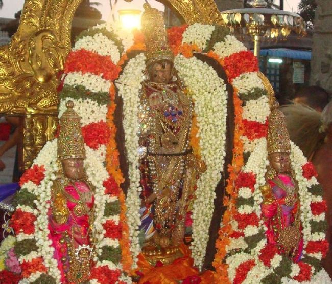 Kanchi Sri Devarajaswami Temple Kulasekara Azhwar THirunakshatra Utsavam 2015 -13