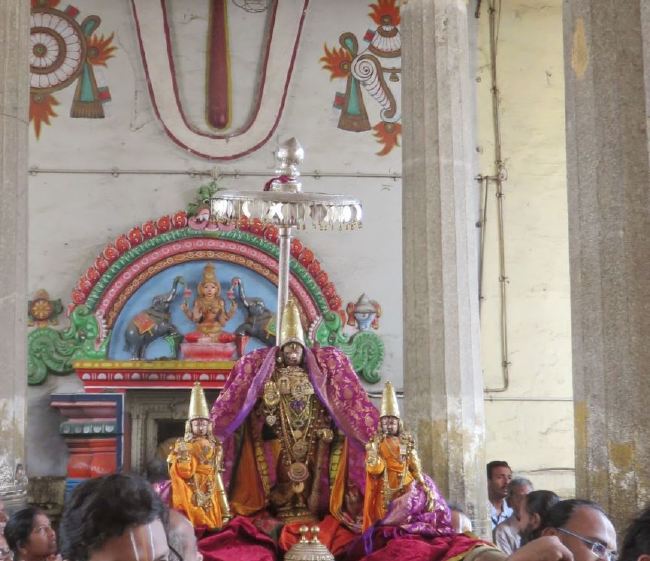 Kanchi Sri Devarajaswami Temple Panguni Masapirappu Purappadu 2015 -06