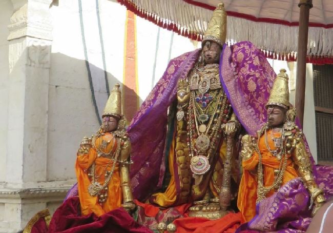 Kanchi Sri Devarajaswami Temple Panguni Masapirappu Purappadu 2015 -10