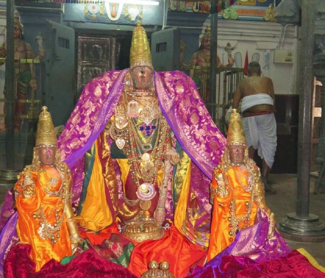 Kanchi Sri Devarajaswami Temple Panguni Masapirappu Purappadu 2015 -11