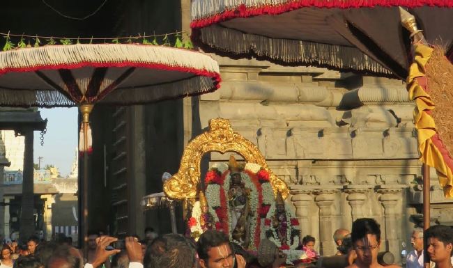 Kanchi Sri Devarajaswami Temple Panguni Masapirappu Purappadu 2015 -22