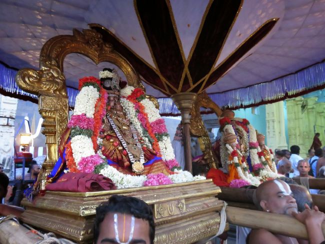 Kanchi Sri Devarjaswami Temple Dhavanotsavam day 1 2015 2015 -01