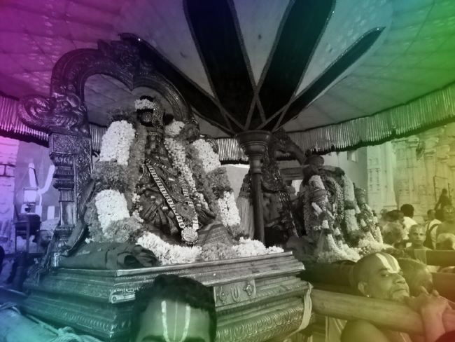 Kanchi Sri Devarjaswami Temple Dhavanotsavam day 1 2015 2015 -02