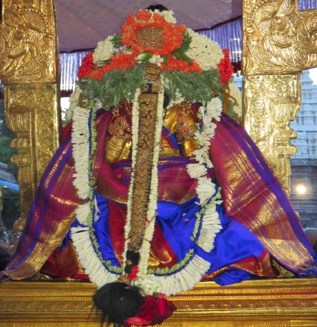 Kanchi Sri Devarjaswami Temple Dhavanotsavam day 1 2015 2015 -04