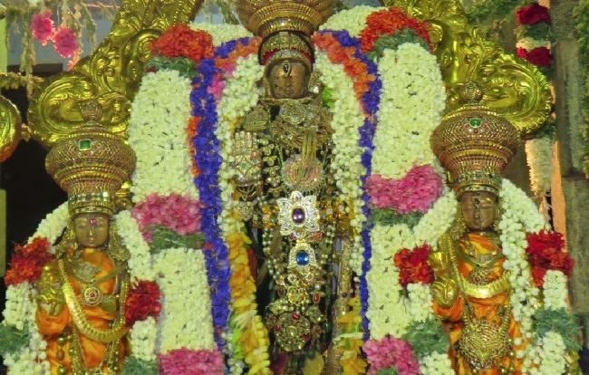 Kanchi Sri Devarjaswami Temple Dhavanotsavam day 1 2015 2015 -28