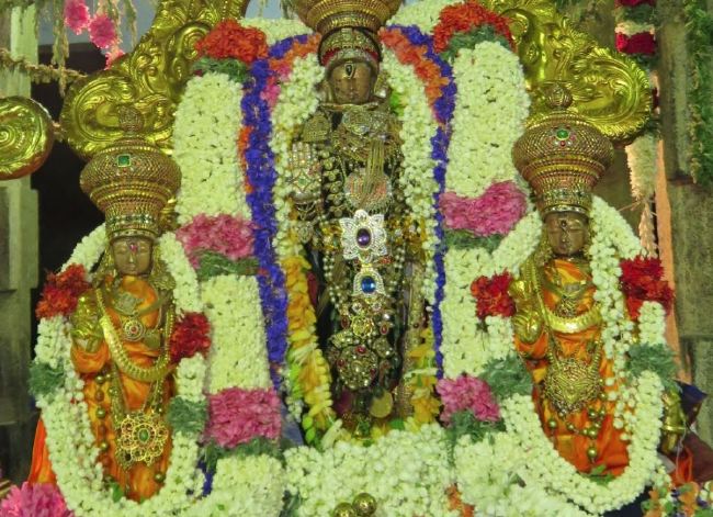 Kanchi Sri Devarjaswami Temple Dhavanotsavam day 1 2015 2015 -29
