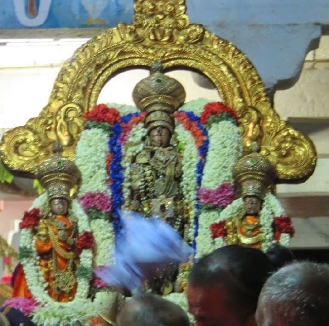 Kanchi Sri Devarjaswami Temple Dhavanotsavam day 1 2015 2015 -39