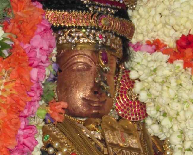 Kanchi Sri Devarjaswami Temple Dhavanotsavam day 1 2015 2015 -46