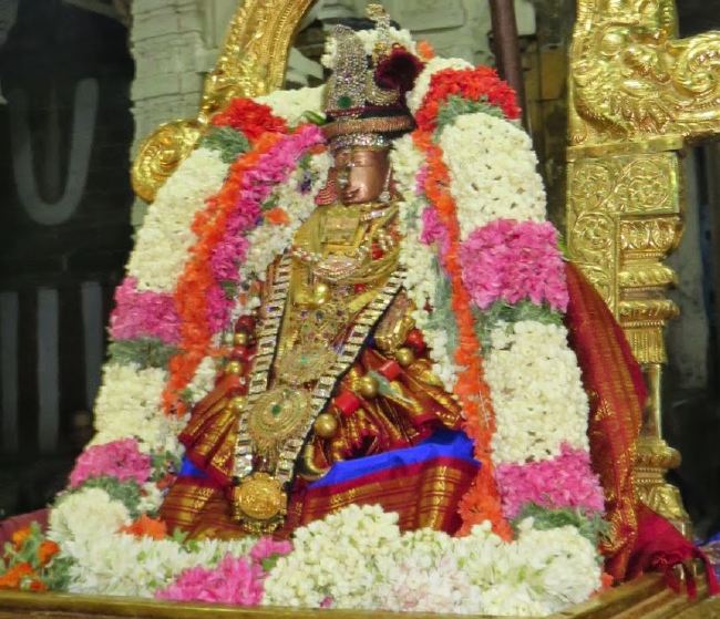 Kanchi Sri Devarjaswami Temple Dhavanotsavam day 1 2015 2015 -52