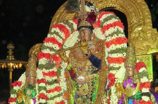 Kanchi Sri devaperumal Dhavanautsavam day 3 Purappadu 2015 -16