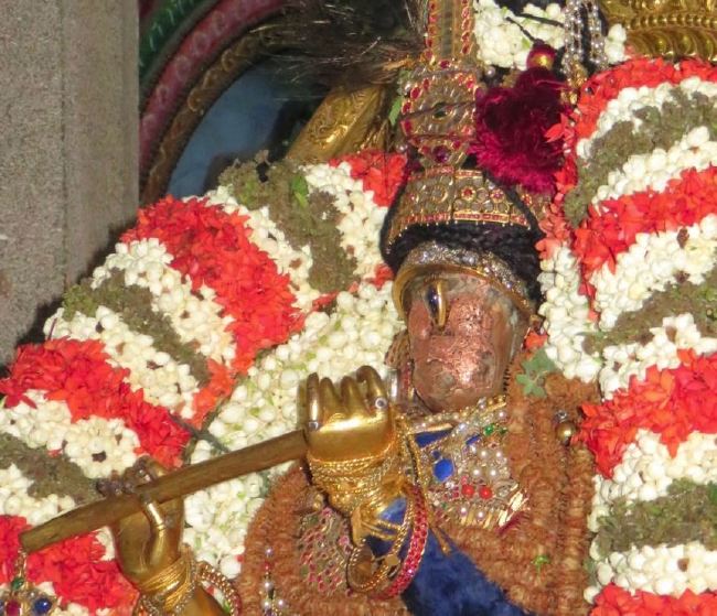 Kanchi Sri devaperumal Dhavanautsavam day 3 Purappadu 2015 -36