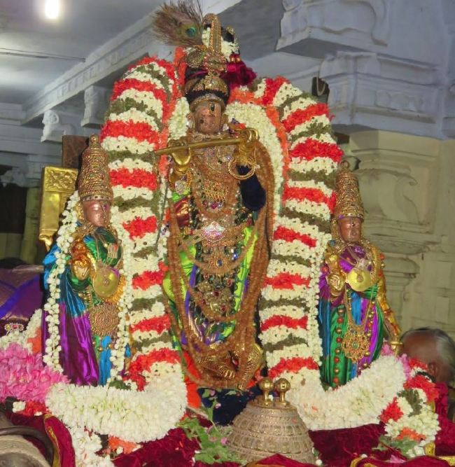 Kanchi Sri devaperumal Dhavanautsavam day 3 Purappadu 2015 -39