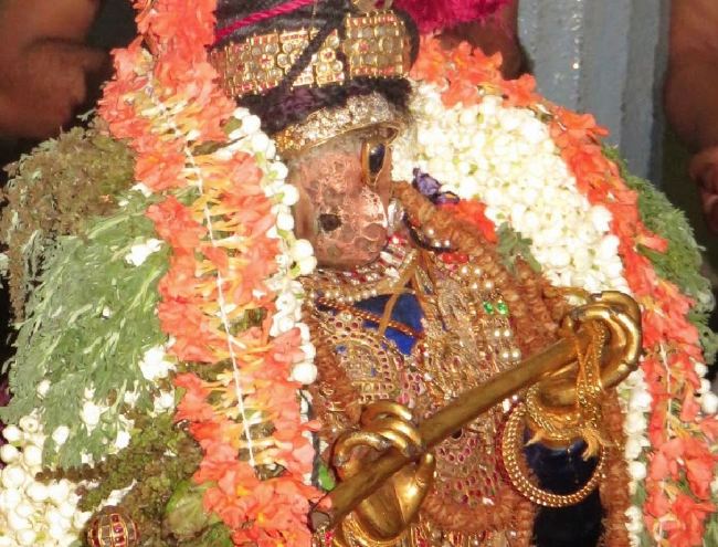 Kanchi Sri devaperumal Dhavanautsavam day 3 Purappadu 2015 -45