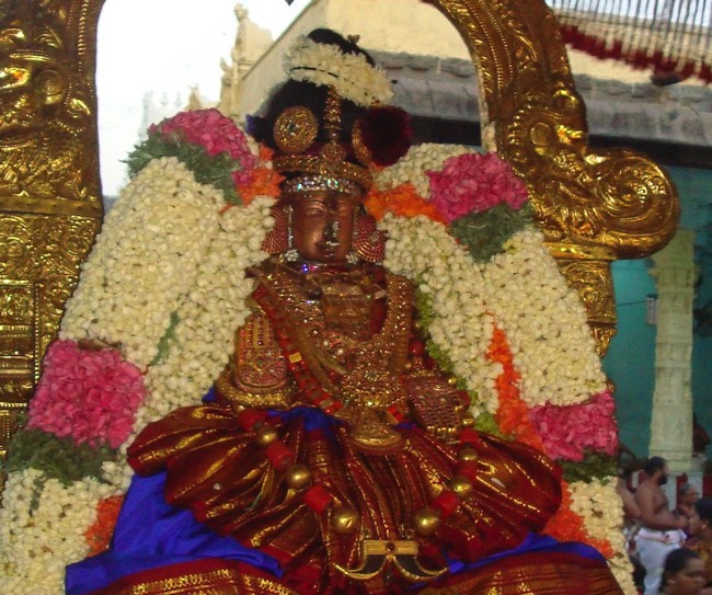 Kanchi Sri varadaraja Perumal Temple  Perundhevi Thayar Panguni Sukravara Purappadu-2015-00