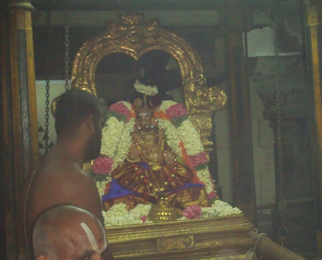 Kanchi Sri varadaraja Perumal Temple  Perundhevi Thayar Panguni Sukravara Purappadu-2015-10