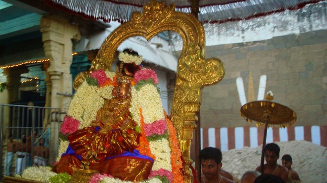 Kanchi Sri varadaraja Perumal Temple  Perundhevi Thayar Panguni Sukravara Purappadu-2015-12