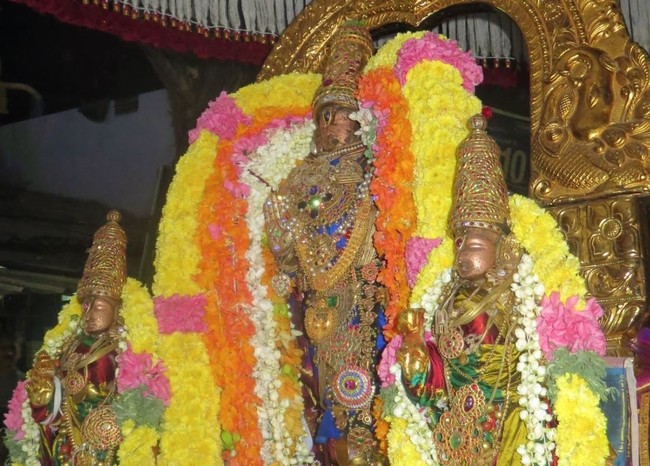 Kanchipuram Sri Devarajaswami Temple Thirukachi Nambi Utsavam  2015 -04