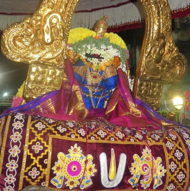Kanchipuram Sri Devarajaswami Temple Thirukachi Nambi Utsavam  2015 -07
