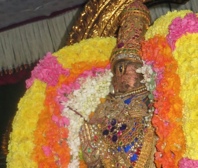 Kanchipuram Sri Devarajaswami Temple Thirukachi Nambi Utsavam  2015 -14