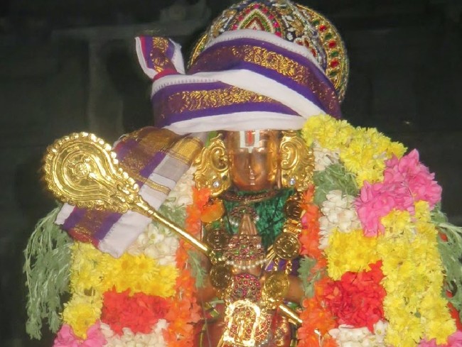Kanchipuram Sri Devarajaswami Temple Thirukachi Nambi Utsavam  2015 -15