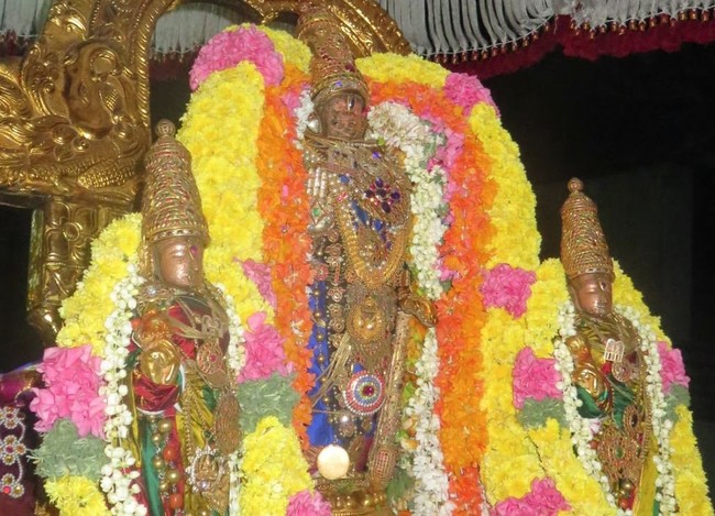 Kanchipuram Sri Devarajaswami Temple Thirukachi Nambi Utsavam  2015 -16