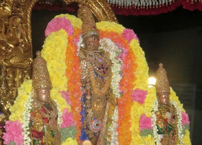 Kanchipuram Sri Devarajaswami Temple Thirukachi Nambi Utsavam  2015 -17
