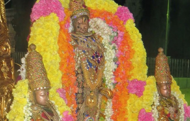 Kanchipuram Sri Devarajaswami Temple Thirukachi Nambi Utsavam  2015 -21