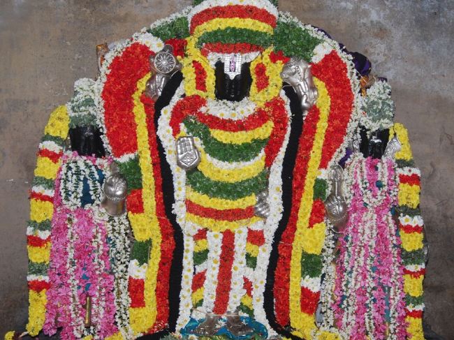 Karappangadu Abhishta Varadaraja Perumal temple Dolotsavam 2015 -04