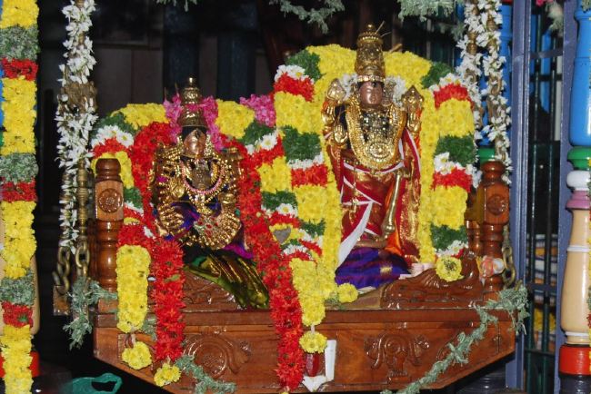 Karappangadu Abhishta Varadaraja Perumal temple Dolotsavam 2015 -05