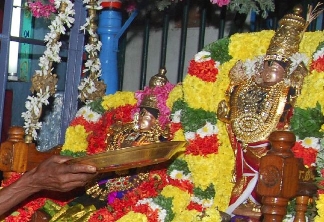 Karappangadu Abhishta Varadaraja Perumal temple Dolotsavam 2015 -07