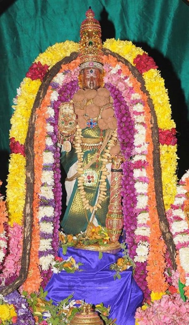 Lower Ahobilam Sri Lakshmi Narasimha Swami Temple Brahmotsavam Conclude12