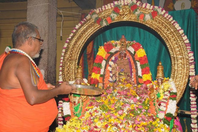 Lower Ahobilam Sri Lakshmi Narasimha Swami Temple Brahmotsavam Conclude7